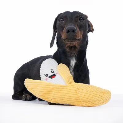 Hund med gult plyschleksak i bananform, leende ansikte synligt på vit tyg.