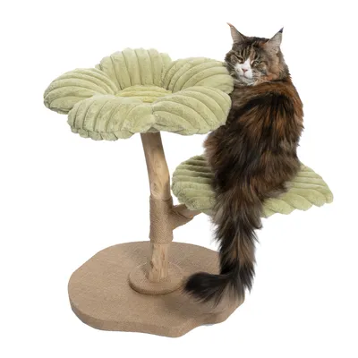Árbol rascador con dos superficies acolchadas verdes, tronco de madera y base de yute. Gato sentado en la superficie inferior.