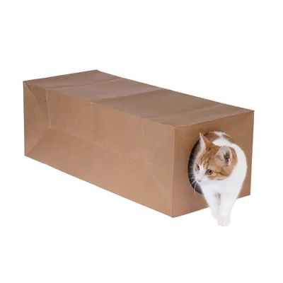Brauner Papiertunnel mit einer Katze, die durch eine runde Öffnung herauskommt. Produkt zur Unterhaltung von Haustieren.
