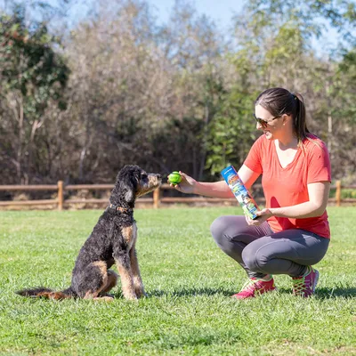 Una persona mostra un gioco verde a un cane e tiene una confezione di snack in mano durante l’addestramento all’aperto.