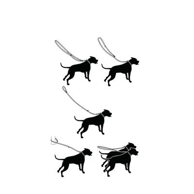 Diagramm zeigt verschiedene Möglichkeiten, eine Hundeleine zu verwenden: Einzelhund, zwei Hunde gleichzeitig und Befestigung an einem festen Punkt.