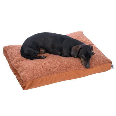 Coussin rectangulaire marron en tissu, chien noir allongé dessus. Étiquette visible sur le côté du coussin.