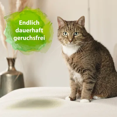 Texte en allemand : Endlich dauerhaft geruchsfrei