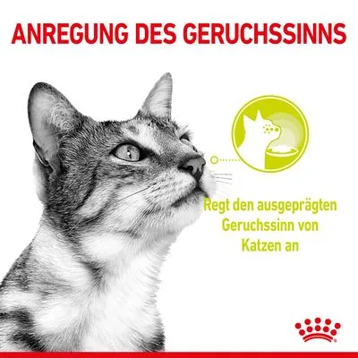 ANREGUNG DES GERUCHSSSINNS. Regt den ausgeprägten Geruchssinn von Katzen an. Tekst in het Duits, afbeelding van een kat en pictogram met kattenprofiel en voerbak.