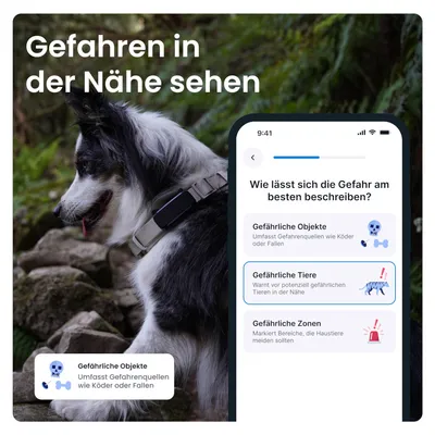 Gefahren in der Nähe sehen. Auswahlmöglichkeiten: Gefährliche Objekte, Gefährliche Tiere, Gefährliche Zonen. Warnungen für potenzielle Gefahrenquellen für Haustiere.