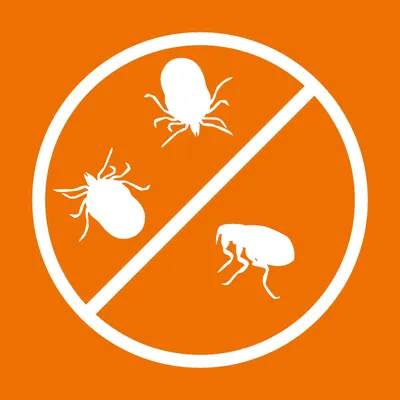 Symbol für Schutz vor Parasiten: Zecken, Milben und Flöhe durchgestrichen auf orangefarbenem Hintergrund.
