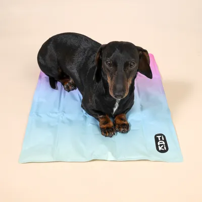 TIAKI Regenbogen Kühlmatte