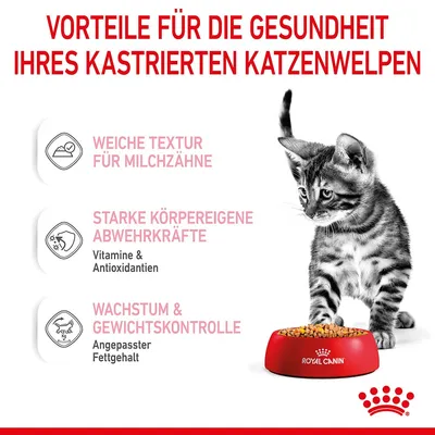 Vorteile für kastrierte Katzenwelpen: Weiche Textur für Milchzähne, starke Abwehrkräfte mit Vitaminen & Antioxidantien, Wachstum & Gewichtskontrolle durch angepassten Fettgehalt.