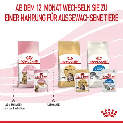 Royal Canin Empfehlung: Ab dem 12. Monat auf Nahrung für ausgewachsene Tiere wechseln. Produkte: Kitten Sterilised, Maine Coon Adult, Indoor Adult.