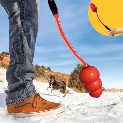 Lanceur de balle rouge en plastique avec poignée noire, utilisé par une personne en extérieur enneigé, chien courant au loin. Balle de forme arrondie visible.