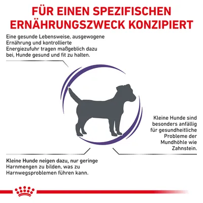 Für einen spezifischen Ernährungszweck konzipiert. Kleine Hunde neigen zu Harnwegsproblemen und sind anfällig für Zahnstein. Ausgewogene Ernährung hält Hunde gesund und fit.