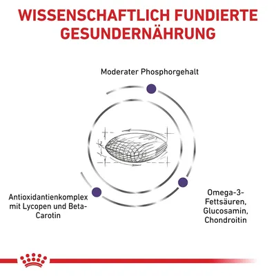 Alimentazione sana scientificamente formulata con fosforo moderato, complesso antiossidante con licopene e beta-carotene, acidi grassi Omega-3, glucosamina, condroitina.