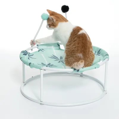 Katzenliege mit grünem Stoff und Blattmuster, ausgestattet mit zwei Spielbällen an flexiblen Stangen. Katze spielt auf der Liege.