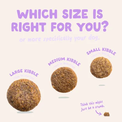 Edgard & Cooper Medium Adult Hond Eend graanvrij