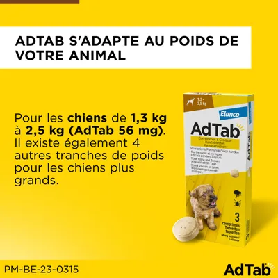 Comprimés à croquer AdTab pour très petit chien (1,3 à 2,5 kg)