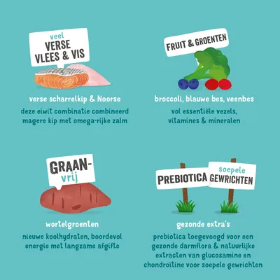 Veel verse vlees & vis, fruit & groenten, graanvrij, prebiotica en soepele gewrichten; met scharrelkip, Noorse zalm, broccoli, blauwe bes, veenbes, wortelgroenten en gezonde extra's.