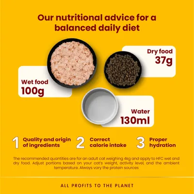 Daily feeding guide: 100g wet food, 37g dry food, 130ml water. Advice includes quality ingredients, correct calorie intake, and proper hydration for a balanced diet.
