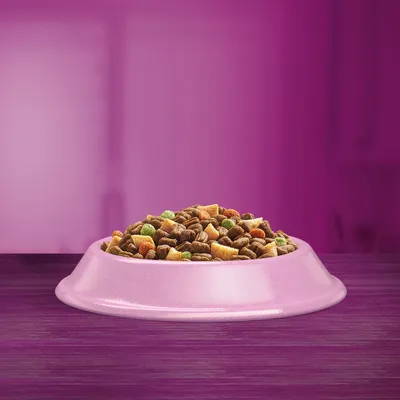 Schüssel mit Trockenfutter in verschiedenen Farben und Formen auf violettem Hintergrund.