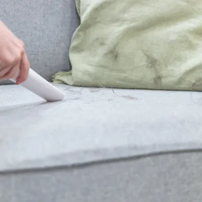 Una mano elimina pelos de mascota de un sofá gris con un aspirador de mano blanco.