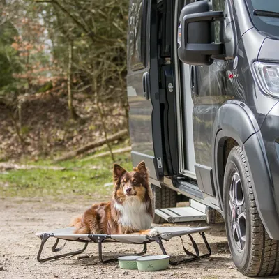 Hund liegt auf einer beige erhöhten Hundeliege neben einem Van, mit zwei Futterschalen davor. Outdoor-Umgebung mit Wald im Hintergrund.
