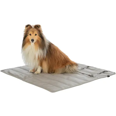 Braun-weisser Hund sitzt auf einer grauen, gepolsterten Matte mit Reissverschlüssen. Produkt zeigt eine tragbare Unterlage für Haustiere.