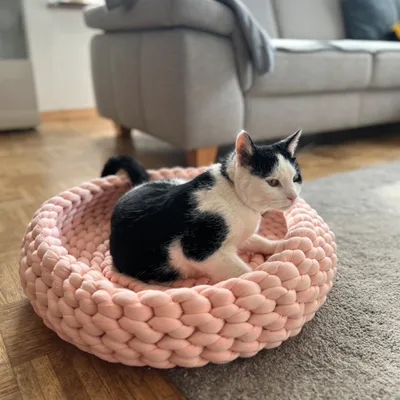 Chat noir et blanc assis dans un panier rond en grosse maille rose, posé sur un sol en bois devant un canapé gris. Matériau du panier : tissu tricoté épais.