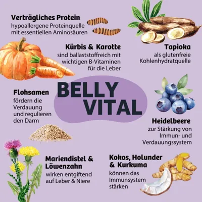 Belly Vital: Verträgliches Protein, Kürbis & Karotte, Flohsamen, Mariendistel & Löwenzahn, Tapioka, Heidelbeere, Kokos, Holunder & Kurkuma mit jeweiliger Wirkung beschrieben. Belly Vital: Verträgliches Protein, Kürbis & Karotte, Flohsamen, Mariendistel & Löwenzahn, Tapioka, Heidelbeere, Kokos, Holunder & Kurkuma mit jeweiliger Wirkung beschrieben.