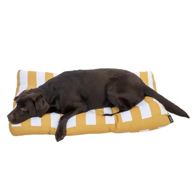 Brauner Hund liegt auf einem gestreiften gelb-weissen Kissen. Produkt zeigt ein Haustierbett mit Streifenmuster.