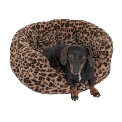 Dog in a leopard print pet bed made of soft fabric. Product shows the bed’s design and comfort.