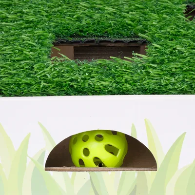 Toy box with green artificial grass and yellow ball in a display window.