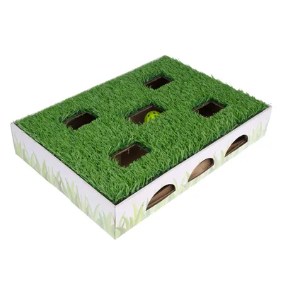 Toy box with green grass carpet and several openings, visible yellow ball underneath. Cardboard box with grass design on the sides.