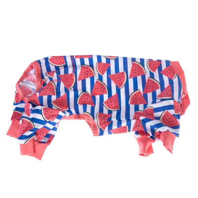 Hundebekleidung mit Wassermelonen-Muster und blauen Streifen, rot abgesetzte Bündchen.