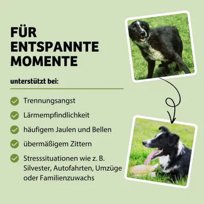 Für entspannte Momente. Unterstützt bei Trennungsangst, Lärmempfindlichkeit, häufigem Jaulen und Bellen, übermäßigem Zittern, Stresssituationen wie Silvester oder Umzügen.
