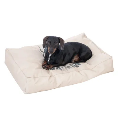 Cane sdraiato su un letto per cani beige con stampa nera. Il prodotto mostra l'uso del letto.