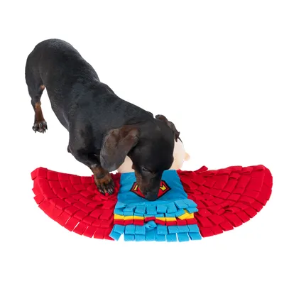 Cane gioca con un gioco in tessuto rosso e blu, a forma di supereroe.