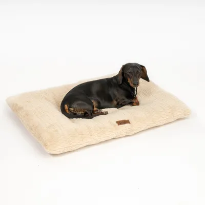 Hund liegt auf einem cremefarbenen, gepolsterten Hundebett mit strukturierter Oberfläche und braunem Label. Hund liegt auf einem cremefarbenen, gepolsterten Hundebett mit strukturierter Oberfläche und braunem Label.