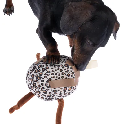 Hund leger med et legetøj med leopardmønster, udstyret med brune stofbånd og ben.