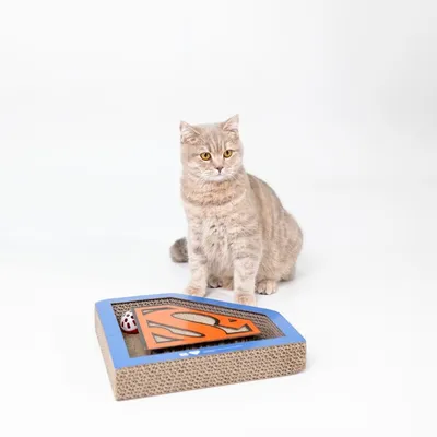 Kattenspeelgoed van karton met oranje Superman-logo en geïntegreerde bal. Beige kat zit ernaast.