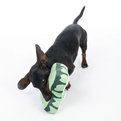 Kutya zöld, terepmintás játékkal játszik. A termék háziállat általi használatát mutatja.