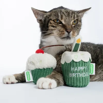 Plush toy in cupcake shape with Zooplus logo, one with red cherry and one with 'Happy Birthday' inscription. Cat in background.