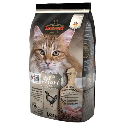 Leonardo Adult Salmon Grainfree Leonardo Adult Salmon Grainfree