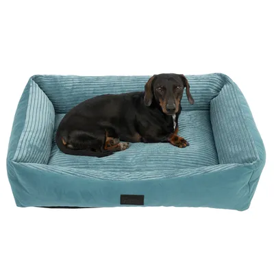 Cane sdraiato su un letto per cani blu imbottito con tessuto a coste e forma rettangolare. Etichetta del marchio visibile sul davanti del letto.