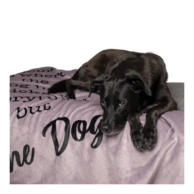 TIAKI Hundedecke „Home“
