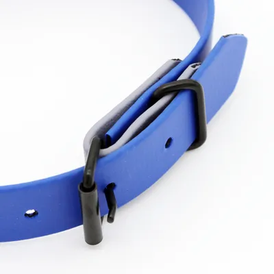 Blaues Halsband mit schwarzer Metallschnalle und verstellbaren Löchern, geeignet für verschiedene Grössen.