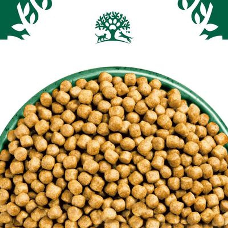 James Wellbeloved Kitten Hypoallergenic Kalkoen & Rijst
