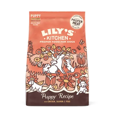 Lily's Kitchen Puppy с пиле и сьомга