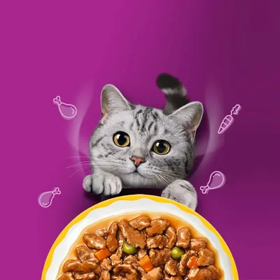 Sparepakke Whiskas 1+ Aromatic Selection 96 x 85 g