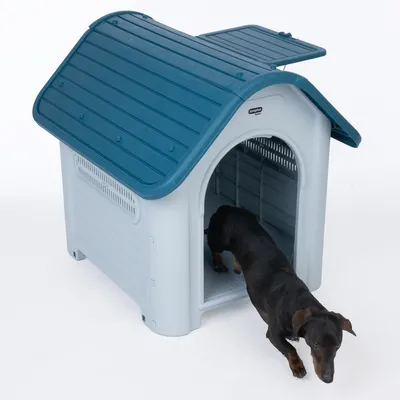 Plastová bouda pro psy s modrou střechou a ventilačními štěrbinami, pes opouští boudu vchodem.