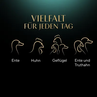 Vielfalt für jeden Tag: Enten-, Hühner-, Geflügel- sowie Enten- und Truthahnvarianten dargestellt mit minimalistischen Tierzeichnungen.