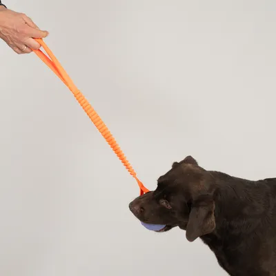 Nomad Tales Spirit Spielball mit Gummizug